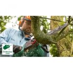 Електрически верижен трион  BOSCH, UniversalChain 40 - Image 2