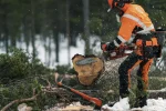 Верига HUSQVARNA X-CUT SP33G Semi chisel PIXEL .325" 1.3 mm - Image 2