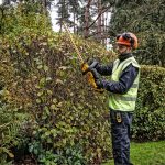 Акумулаторен храсторез DeWALT, DCMHT562P1 - Image 3