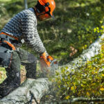 Mоторен верижен трион Husqvarna 450S X-Torq®, 18", 2.4 kW, 45 см, 970702618 - Image 5