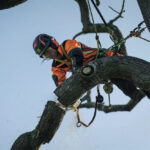 Акумулаторен верижен трион Husqvarna Т540i XP, 36 V, 35 см 14", без батерия, 970572314 - Image 4