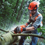 Mоторен верижен трион Husqvarna 555, 4.21 к.с., 45 см, 18", 970501218 - Image 2
